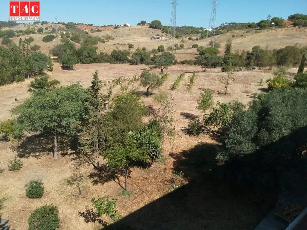 Garden - Luxury Farmhouse with Pool in Ayamonte