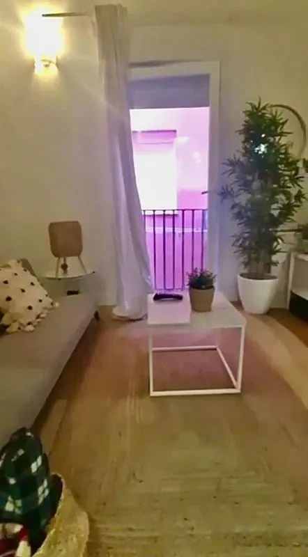 Séjour - Furnished Studio in Lavapiés, Madrid