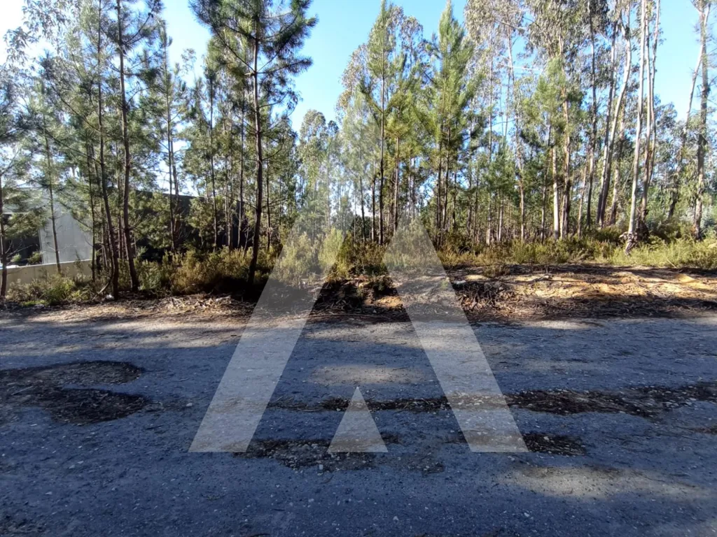 Aed - Industrial Plot with Strategic Access in Zicofa