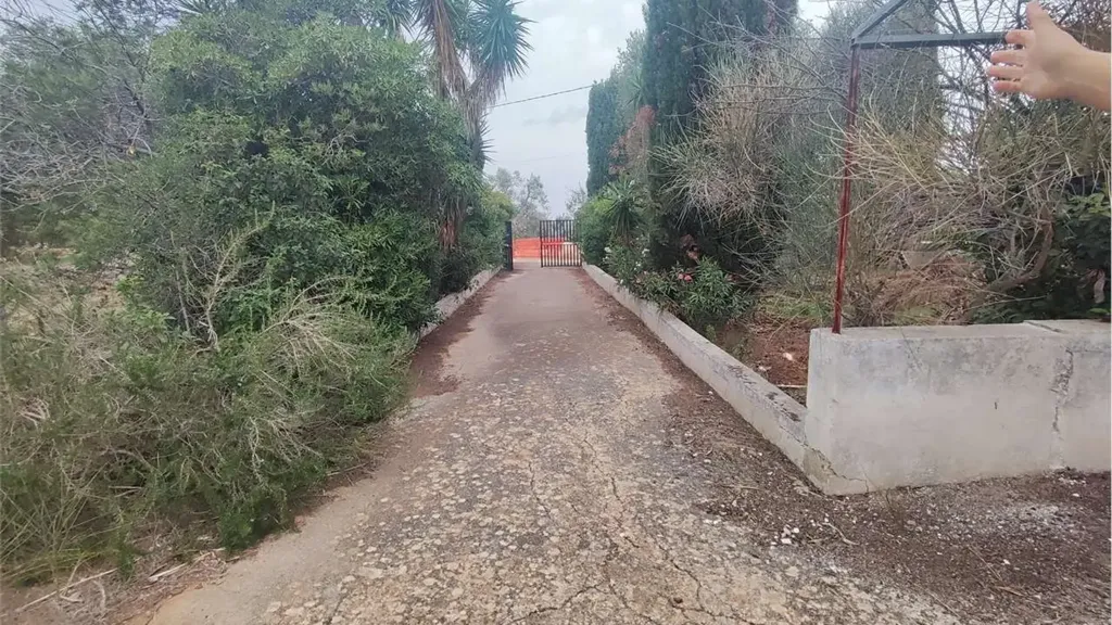 Extérieur - Bilocale with Olive Grove in Carovigno