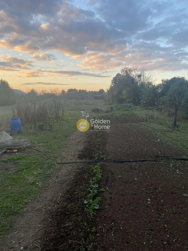 Jardin - Plot with Unrestricted View in Nea Raditsa