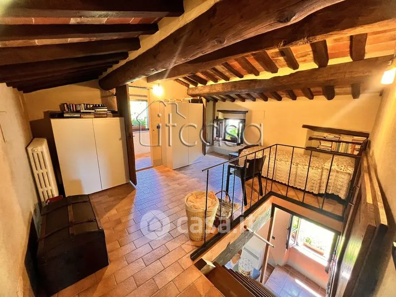 Elutuba - Rustic Tuscan Casale with Olive Grove in Anghiari