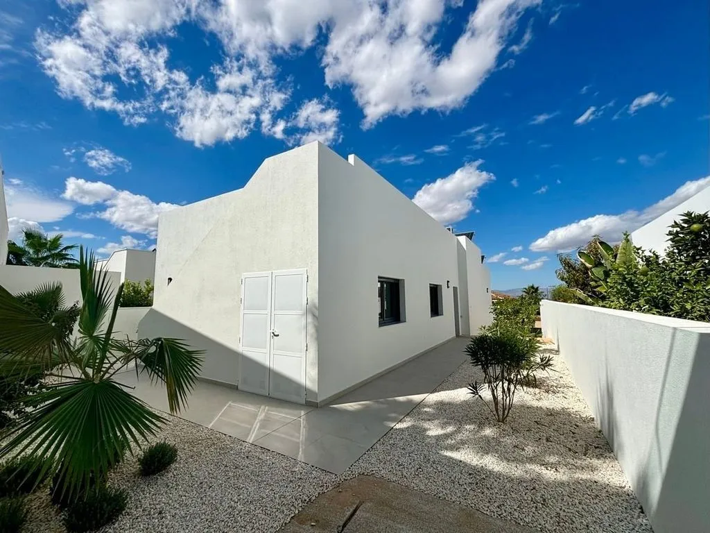 Jardin - Contemporary Villa with Pool in Rojales