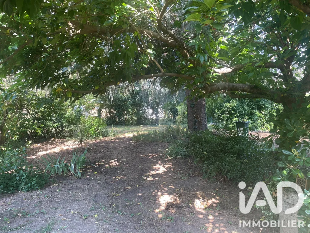 Giardino - Charming Villa with Garden in Libourne