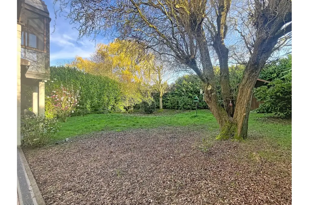 Jardin - Villa 4 Façades avec Jardin Arboré à Mouscron
