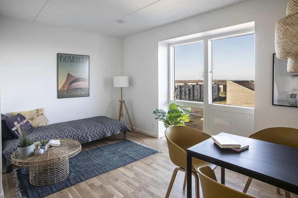 Elutuba - 1-Bedroom Student Flat with Elevator in Roskilde
