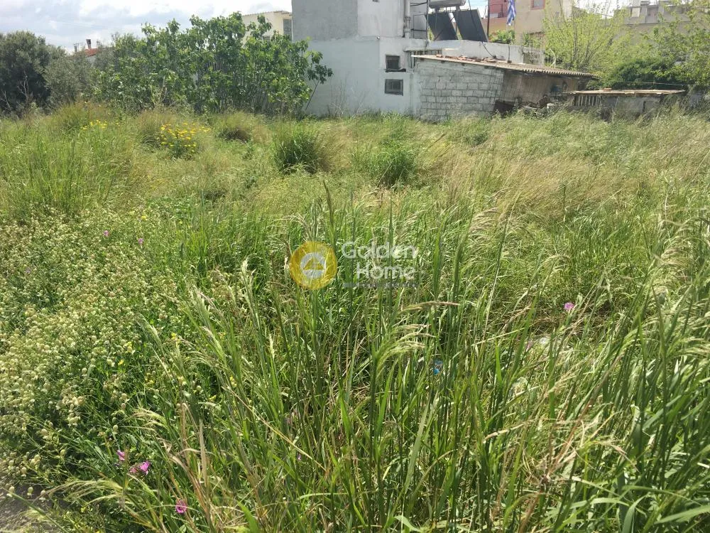 Garden - Corner Plot with Metro Access in Menidi