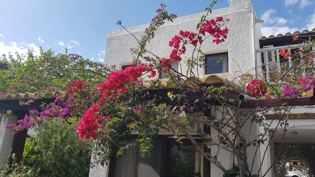 Terrazza - Maisonette with Sea View in Hydra