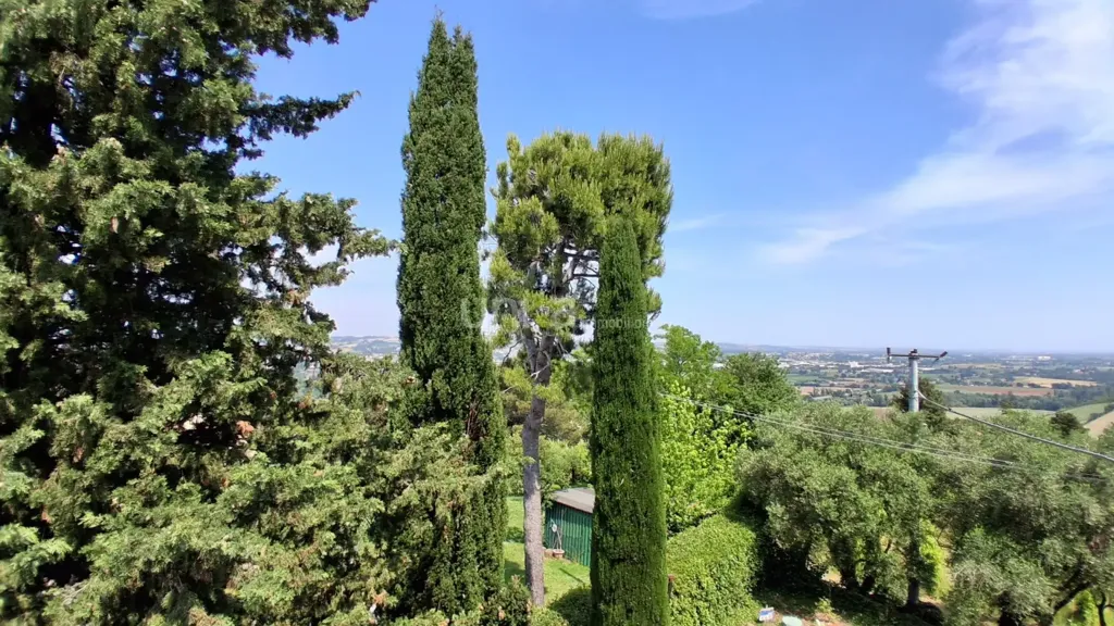 Jardin - Apartment with Panoramic Balcony in Jesi
