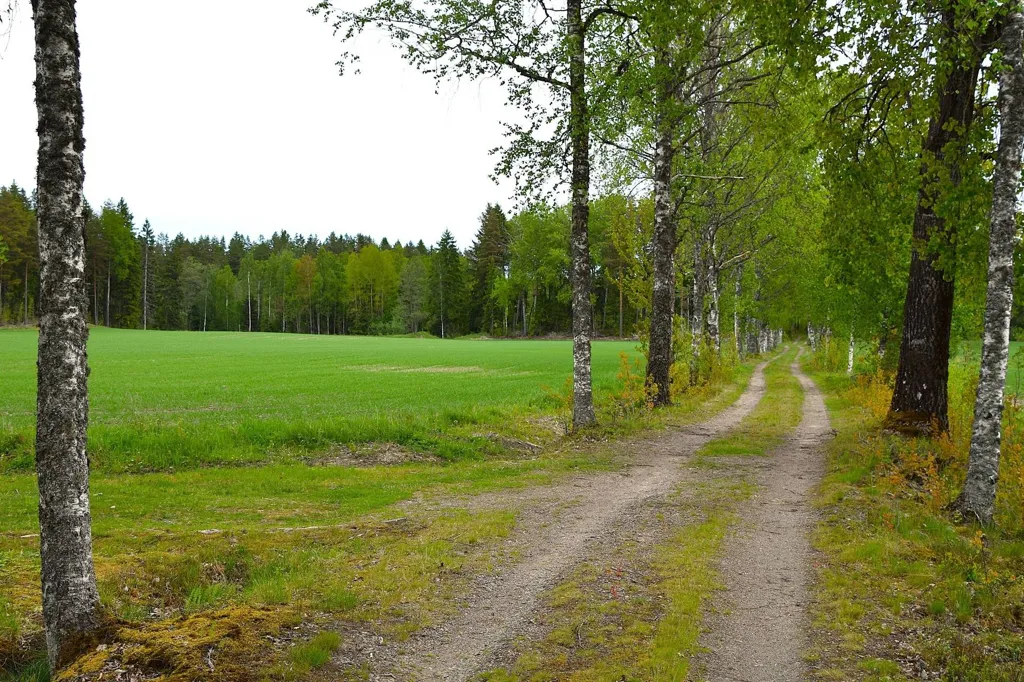 Jardin - Farm with Lake Access in Granviksnäset