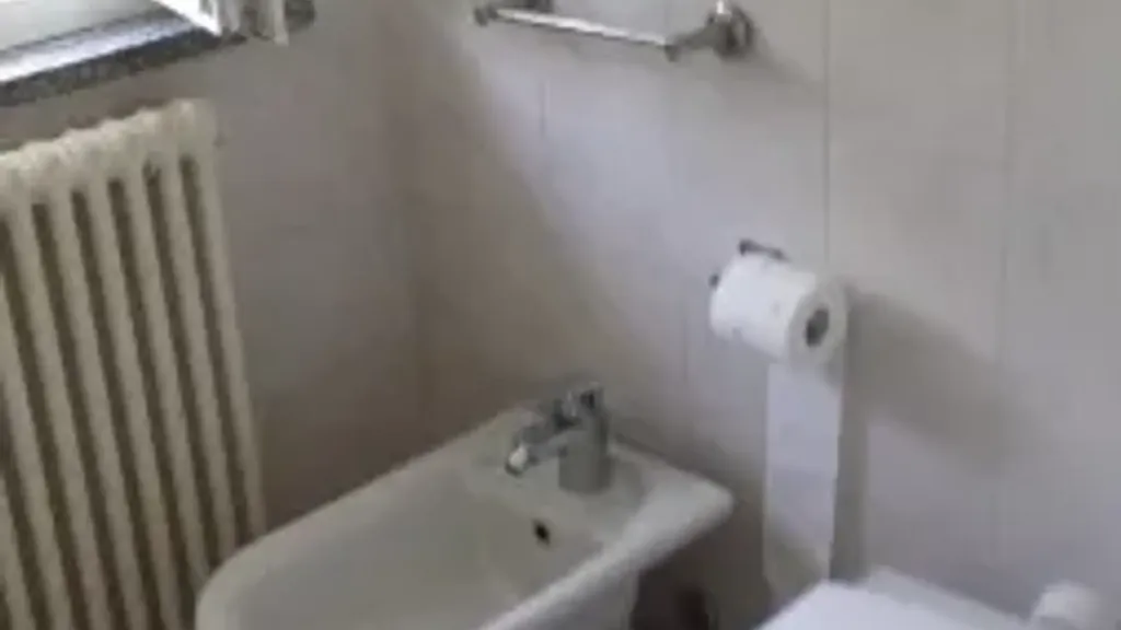 Bathrooms - Armed Two-Bedroom Apartment in Piacenza