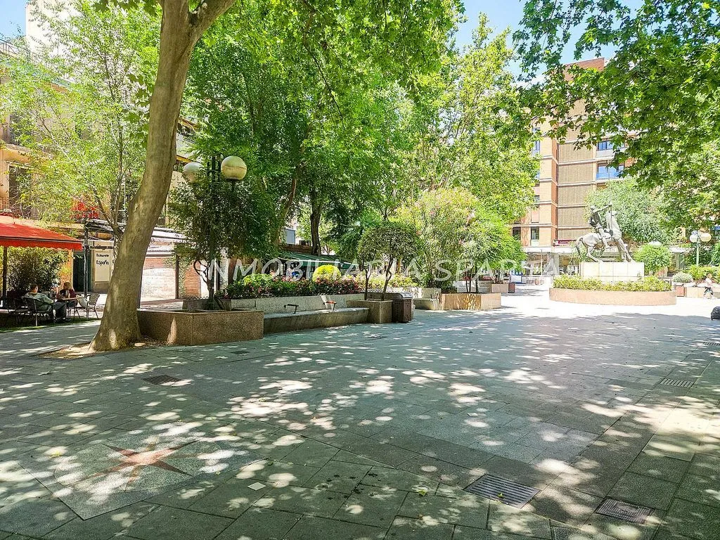 Charming Duplex with Terrace in City Centre