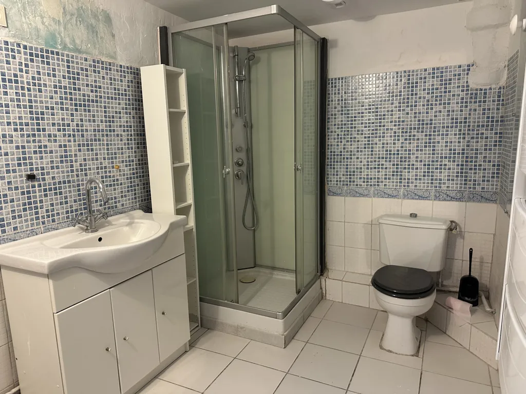 Salles de bain - Appartement Centre Ville avec Chambre Séparée à Clermont-Ferrand