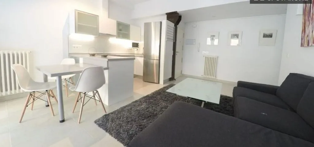 Elutuba - Furnished Flat with Air Conditioning in Sagrario Centre