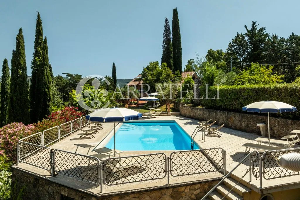 Piscine - Luxury Villa with Panoramic Pool near Massa Marittima
