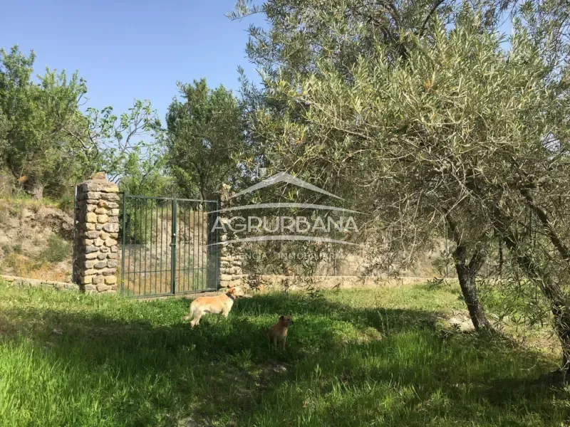 Aed - Rustic Farmhouse with Fruit Trees in Órgiva