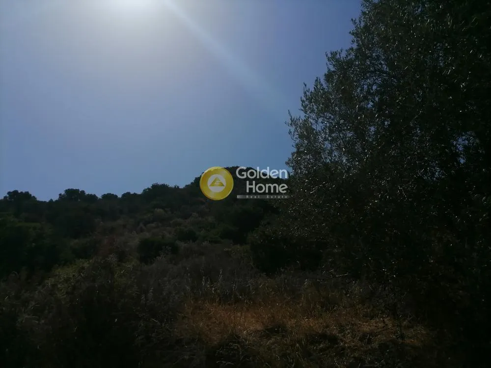 Aed - Agricultural Land with Unrestricted View in Phaistos