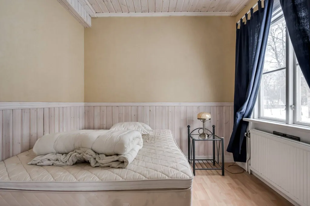 Magamistoad - Multi-Use Property with Historic Charm in Borgvik