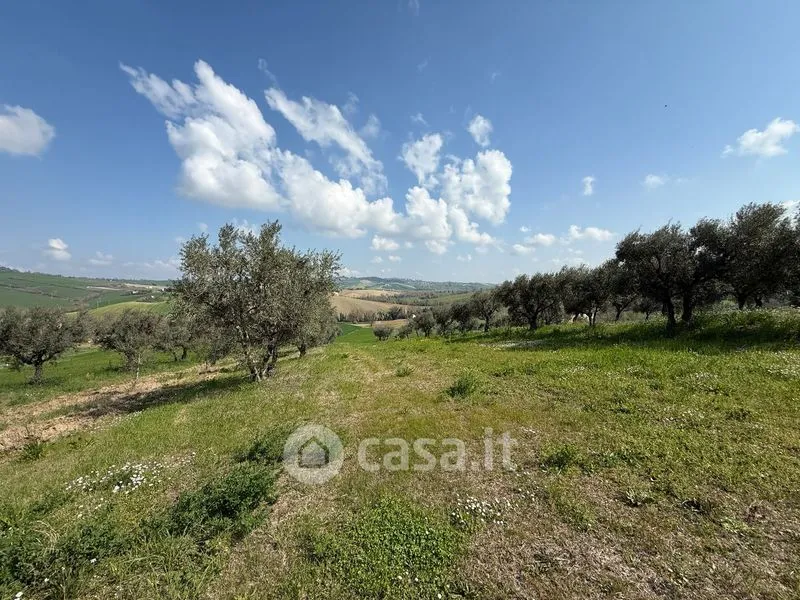 Garden - Rustic Farmhouse with Garden in Loro Piceno