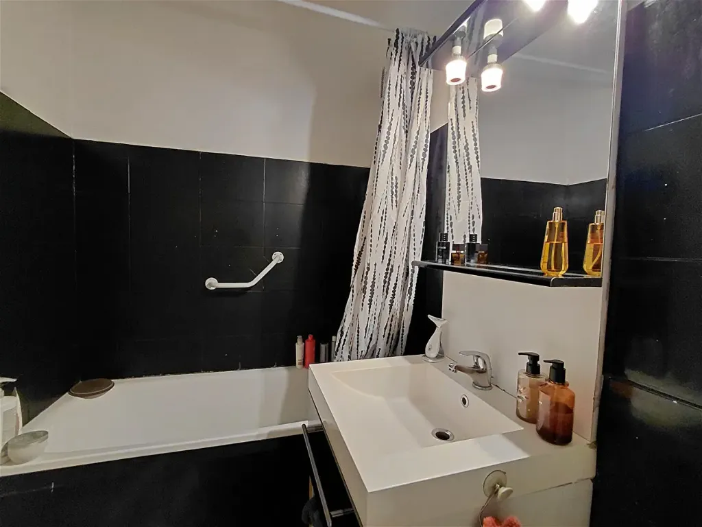 Salles de bain - Appartement 2 Pièces en Centre-ville à Pau