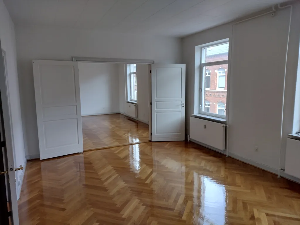 Toad - Spacious Renovated Penthouse in Odense C