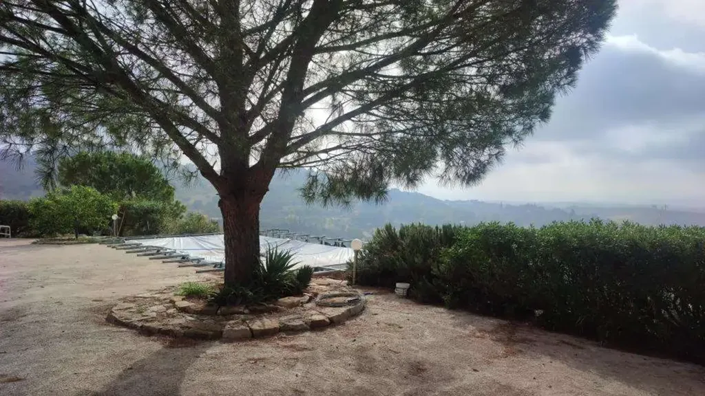 garden