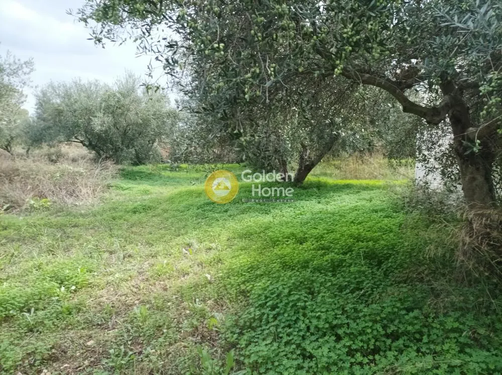 Aed - Buildable Plot with Sea View in Aprovouna, Chania