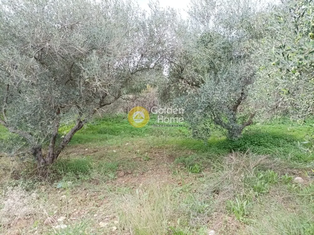 Aed - Buildable Plot with Sea View in Aprovouna, Chania