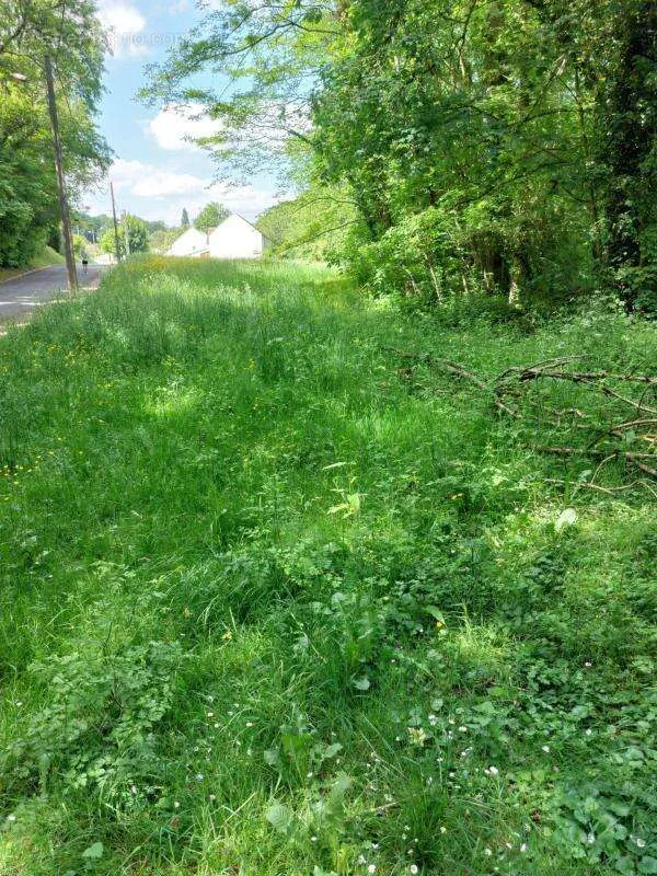 Aed - Buildable Land with River View in Donnemarie-Dontilly