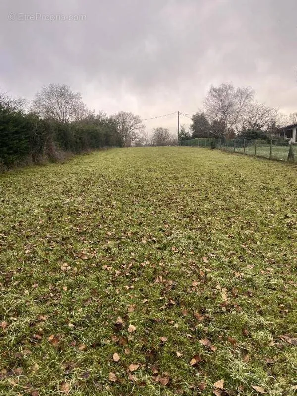 Giardino - Extensive Land in Roquelaure