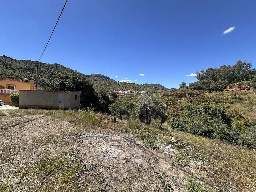 Jardin - Country House with Terrace in Comares