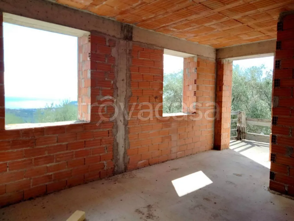 Toad - Rustic Villa with Olive Grove in Diano San Pietro