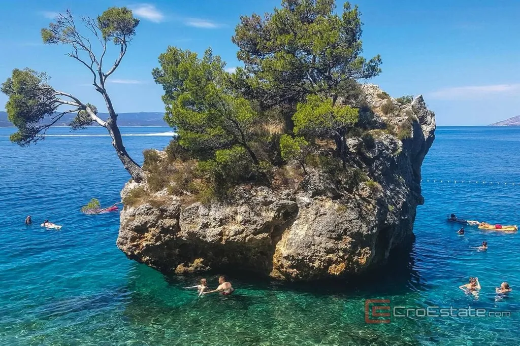 Villa with Pool and Sea View near Makarska