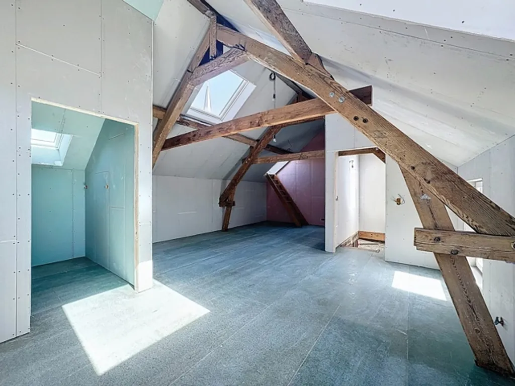 Toad - Characterful House with Multiple Uses in Vieux-Genappe
