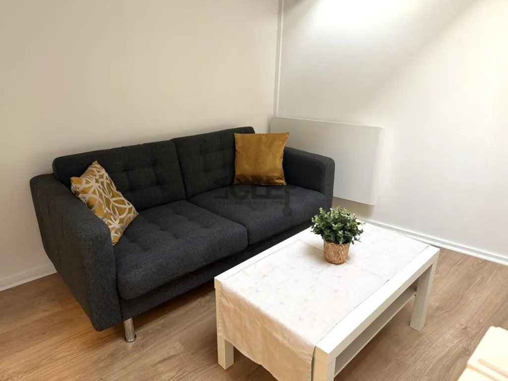 Soggiorno - Flat with Mezzanine in Châtenay-Malabry