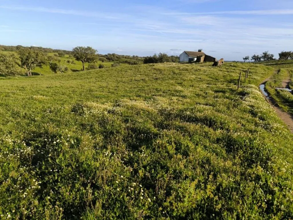 Aed - Luxury Farmhouse with Development Potential in Alentejo