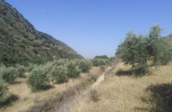 Aed - Land Plot in Albaicín, Granada