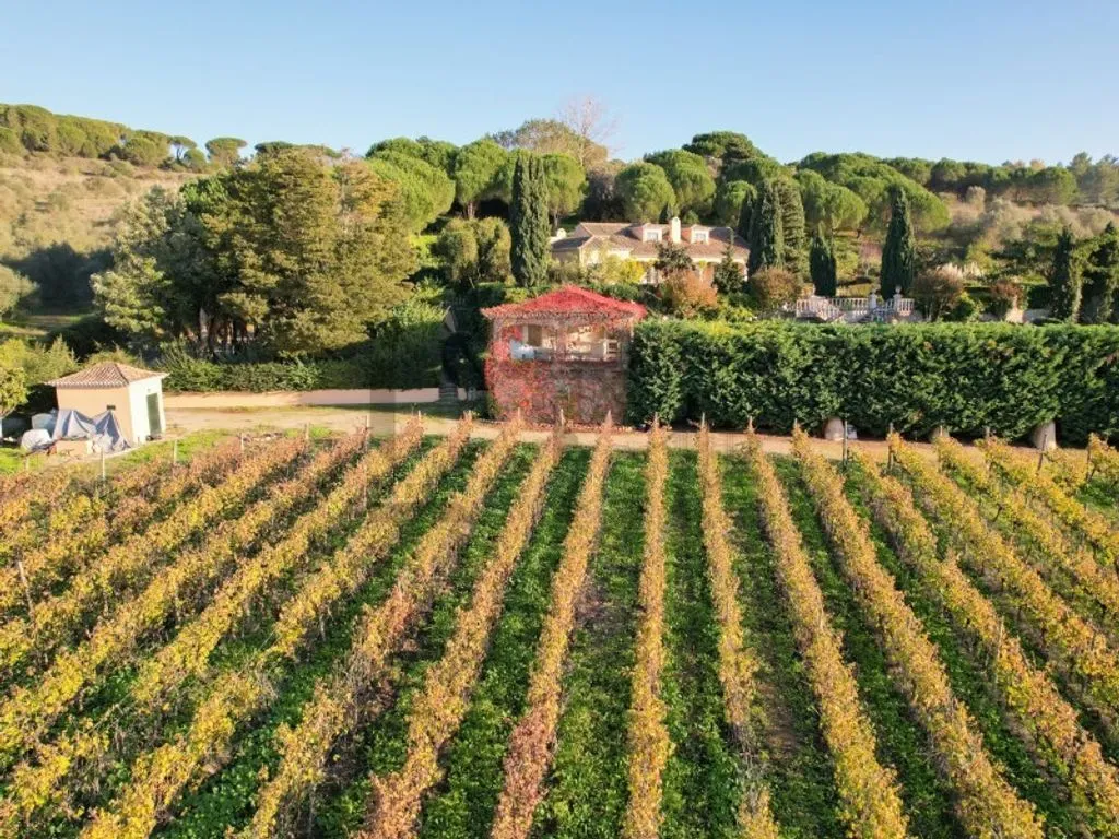 Vue aérienne - Farm with Pool and Vineyard in Azeitao