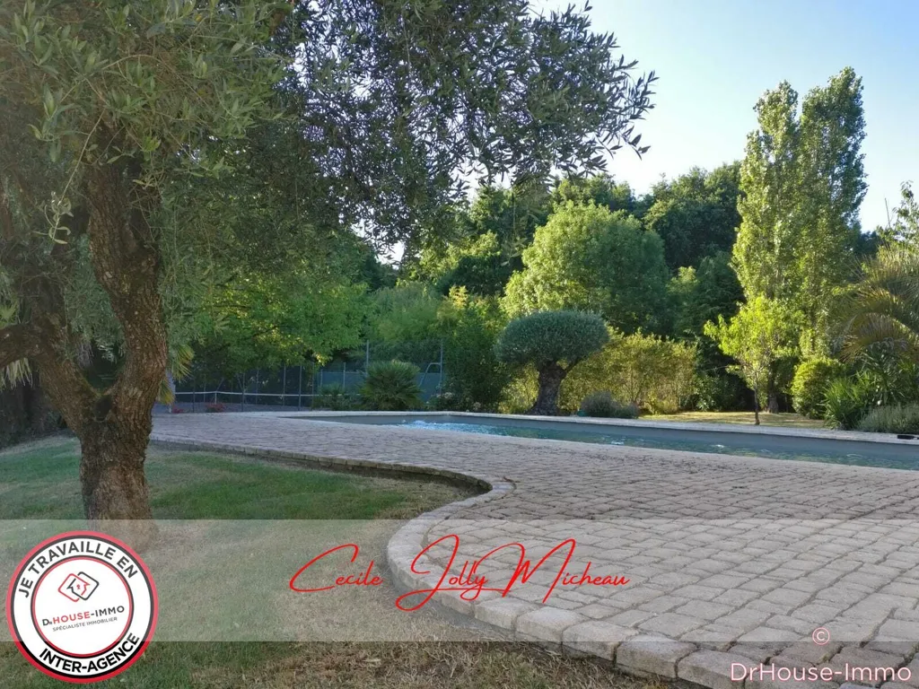Piscine - Maison en Pierre avec Piscine à Saint-Savin