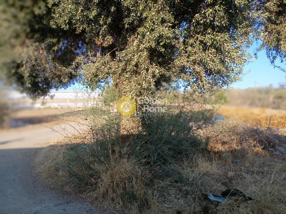 Aed - Flat Agricultural Plot in Magganarides, Tymbaki