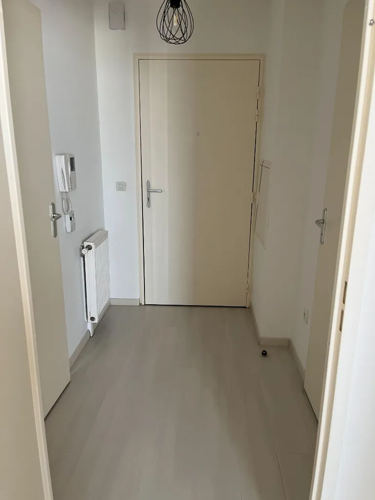 Entrée - Appartement Meublé avec Balcon à Reims