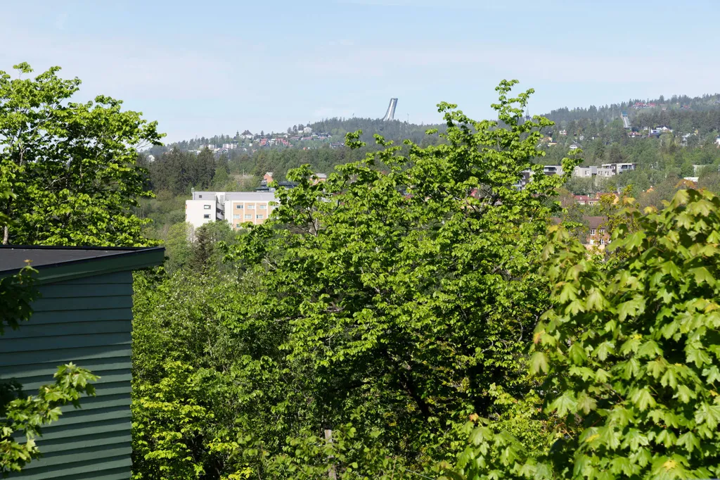 Jardin - Modern Villa with Forest View in Oslo