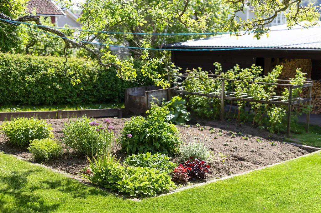 Jardin - Charming 1911 Villa with Garden in Jönköping