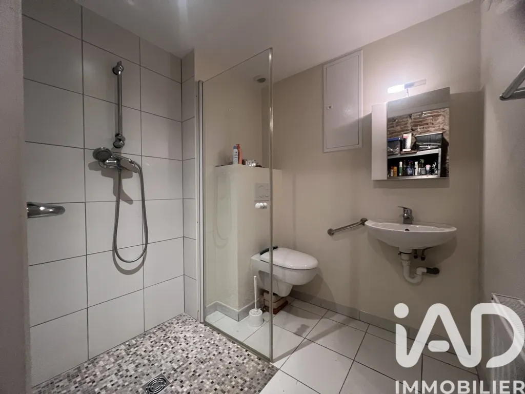 Salles de bain - Maison de Prestige avec Piscine à Chapareillan