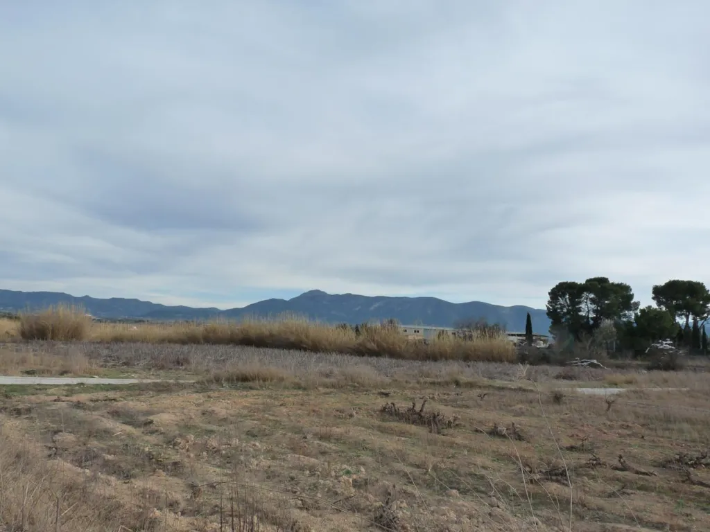 Buildable Plot with Water Access in Alfarrasí