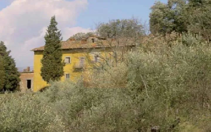 Rustic House with Olive Grove in Rufina