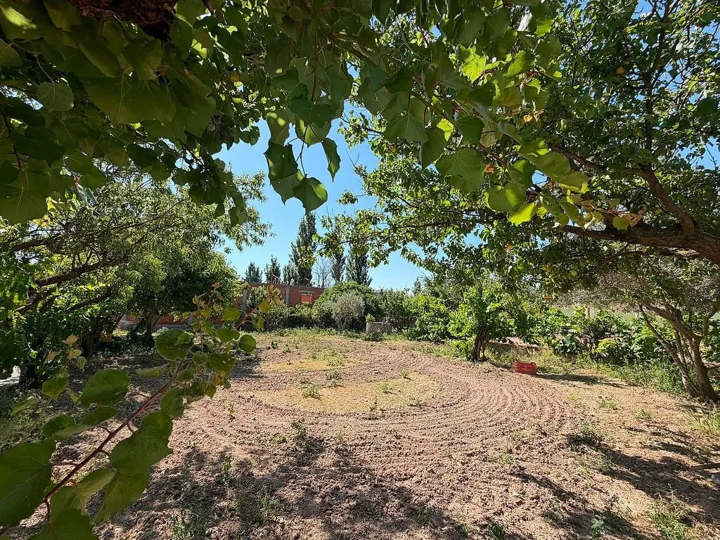 Aed - Rustic House with Pool near Belchite