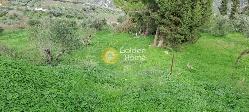 Aed - Buildable Plot with Mountain View in Myrtia