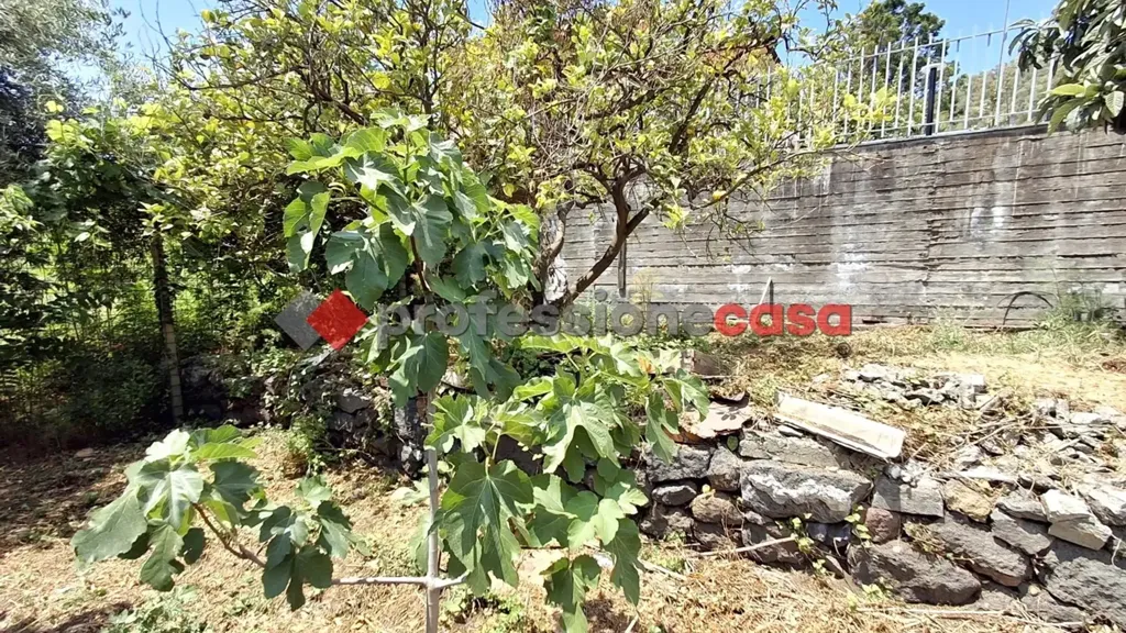 Aed - Apartment with Sea View in Viagrande