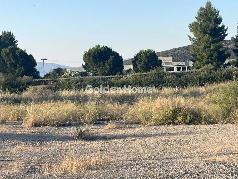 Giardino - Commercial Plot with Olive Trees in Traganá